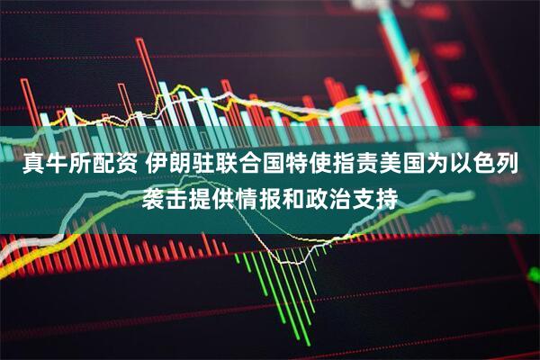 真牛所配资 伊朗驻联合国特使指责美国为以色列袭击提供情报和政治支持