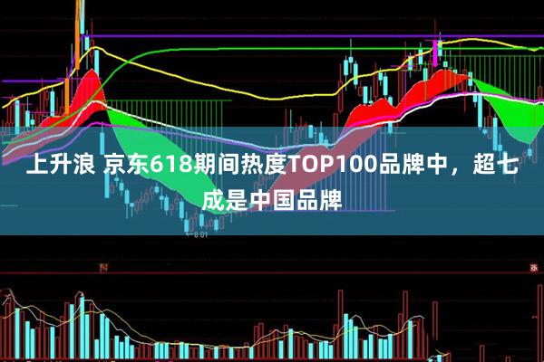 上升浪 京东618期间热度TOP100品牌中，超七成是中国品牌