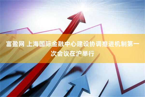 富盈网 上海国际金融中心建设协调推进机制第一次会议在沪举行