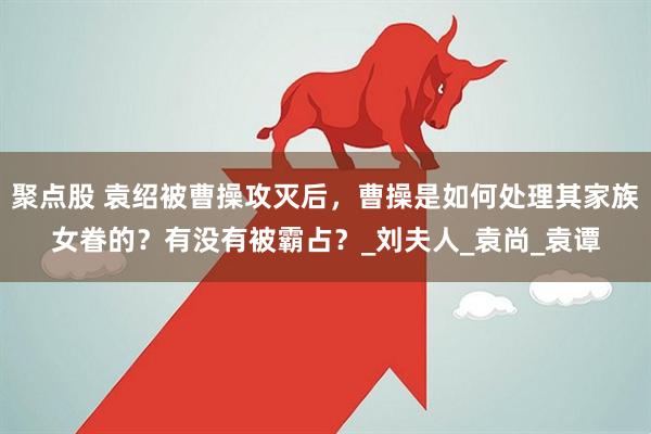 聚点股 袁绍被曹操攻灭后，曹操是如何处理其家族女眷的？有没有被霸占？_刘夫人_袁尚_袁谭